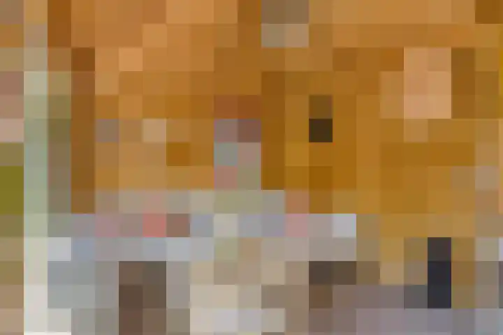Fluitekruid 38 Hardenberg thumbnail 35