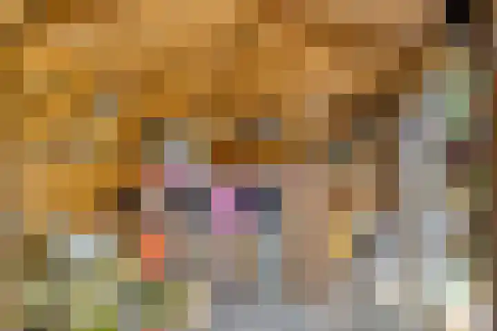 Fluitekruid 38 Hardenberg thumbnail 36