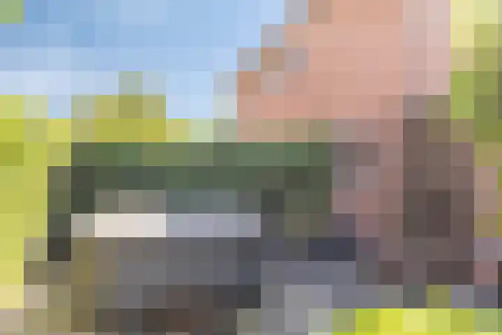 Fluitekruid 38 Hardenberg thumbnail 37