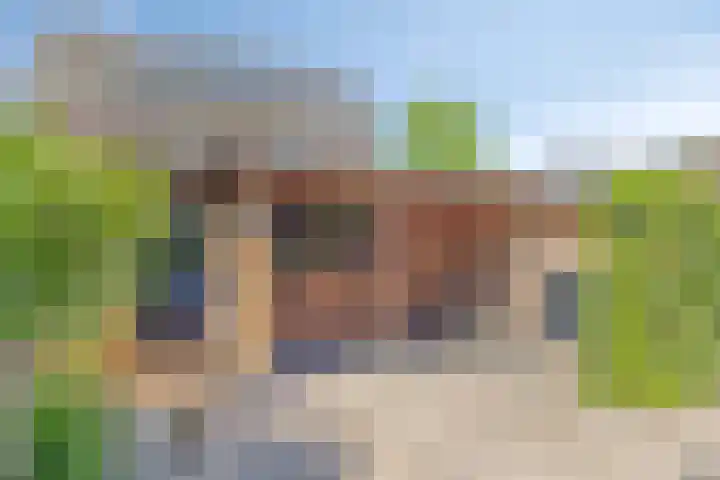 Fluitekruid 38 Hardenberg thumbnail 38