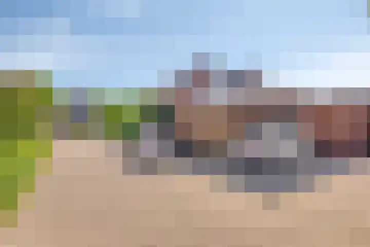 Fluitekruid 38 Hardenberg thumbnail 39