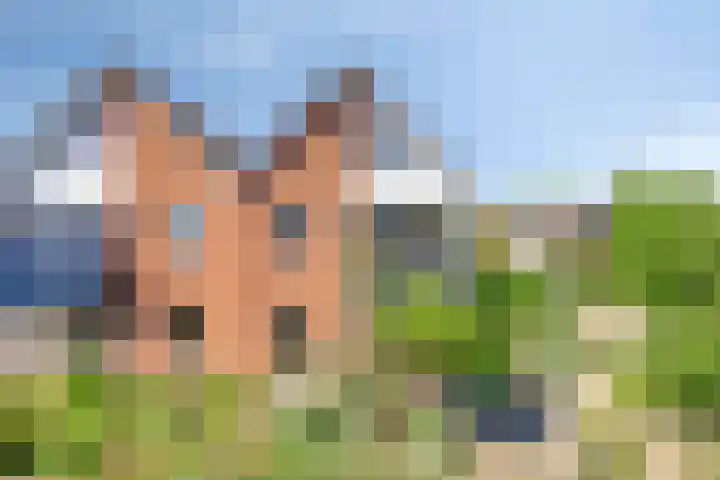 Fluitekruid 38 Hardenberg thumbnail 4