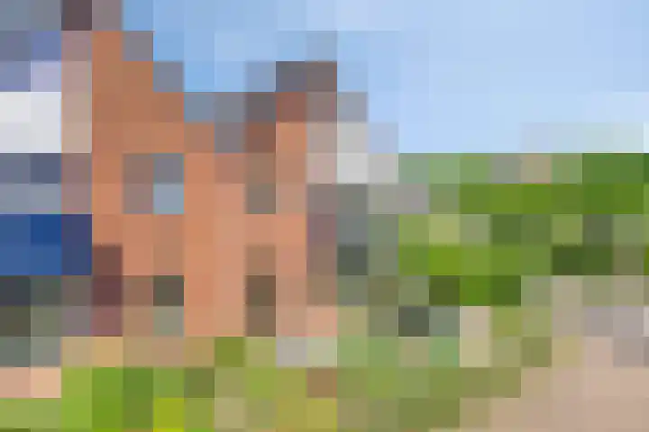 Fluitekruid 38 Hardenberg thumbnail 40