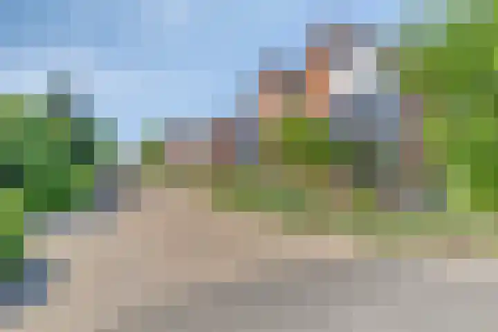 Fluitekruid 38 Hardenberg thumbnail 41