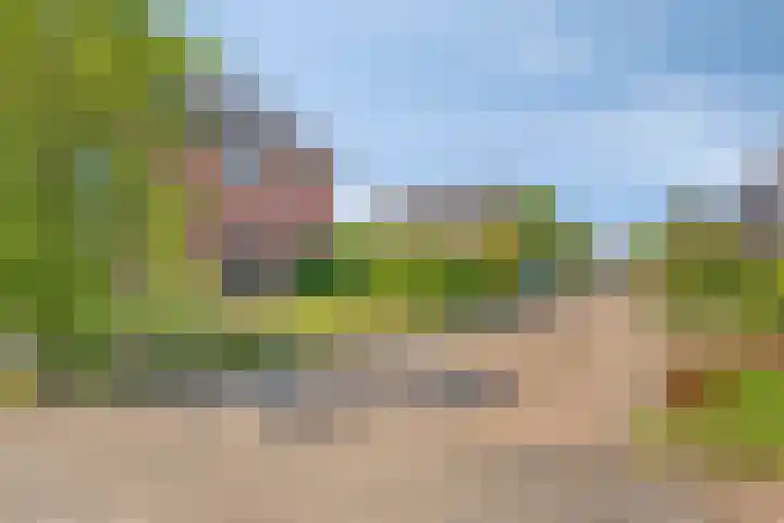 Fluitekruid 38 Hardenberg thumbnail 42