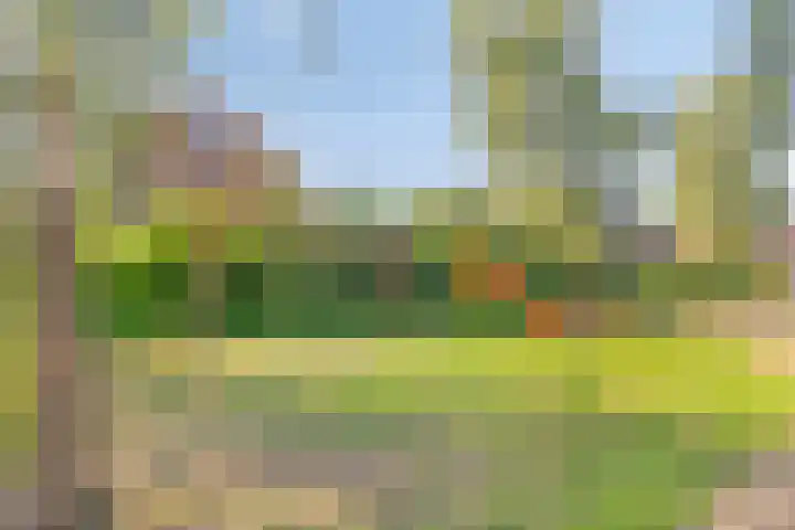 Fluitekruid 38 Hardenberg thumbnail 43