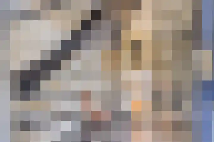Fluitekruid 38 Hardenberg thumbnail 6