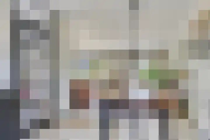 Fluitekruid 38 Hardenberg thumbnail 7