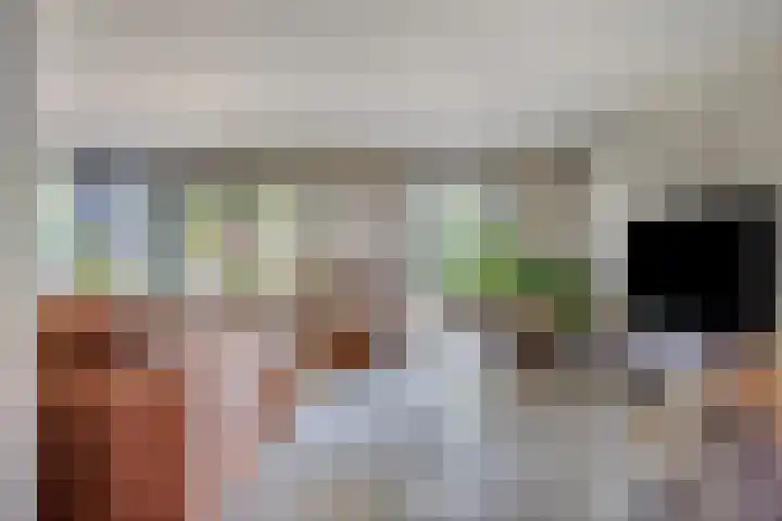 Fluitekruid 38 Hardenberg thumbnail 8