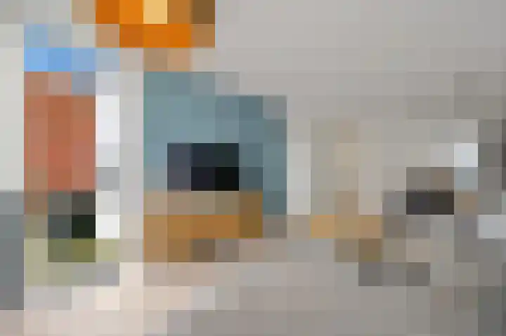 Fluitekruid 42 Den Hoorn thumbnail 12