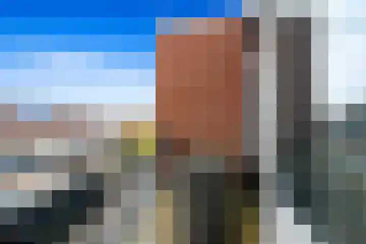 Fluitekruid 42 Den Hoorn thumbnail 13