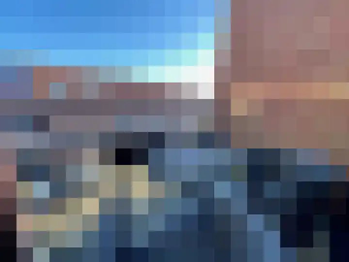 Fluitekruid 42 Den Hoorn thumbnail 14