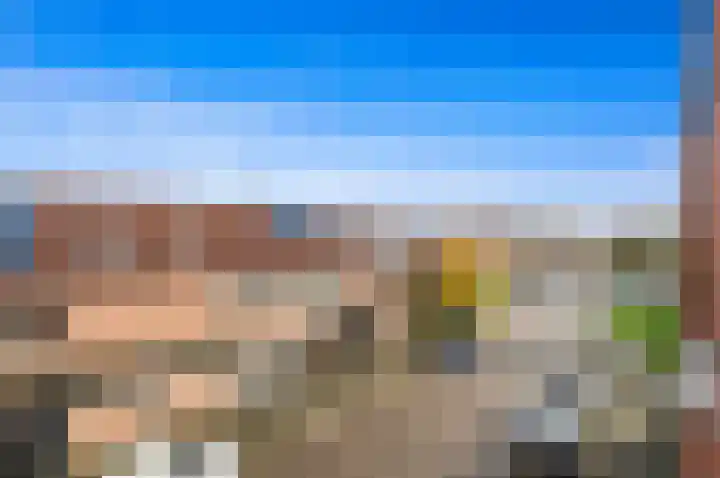 Fluitekruid 42 Den Hoorn thumbnail 15