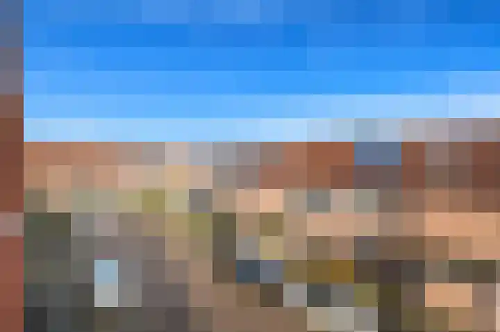 Fluitekruid 42 Den Hoorn thumbnail 16