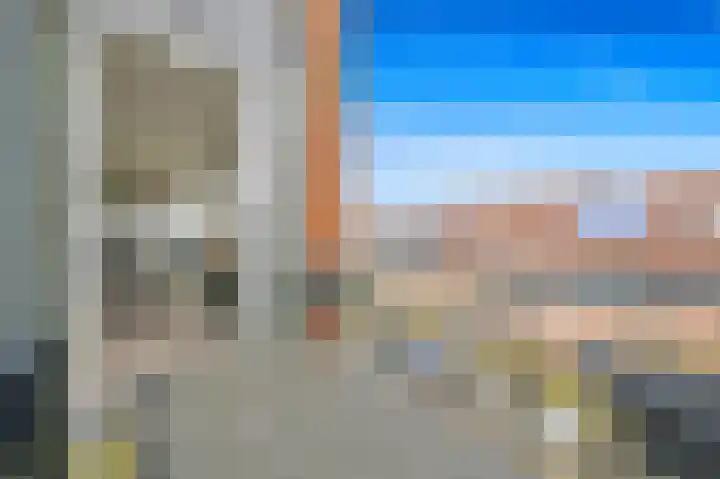 Fluitekruid 42 Den Hoorn thumbnail 17