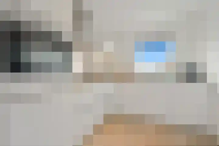 Fluitekruid 42 Den Hoorn thumbnail 20