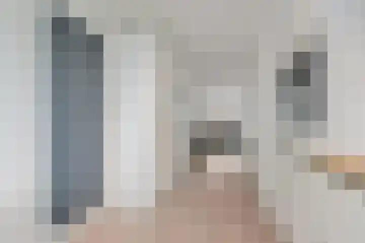 Fluitekruid 42 Den Hoorn thumbnail 22