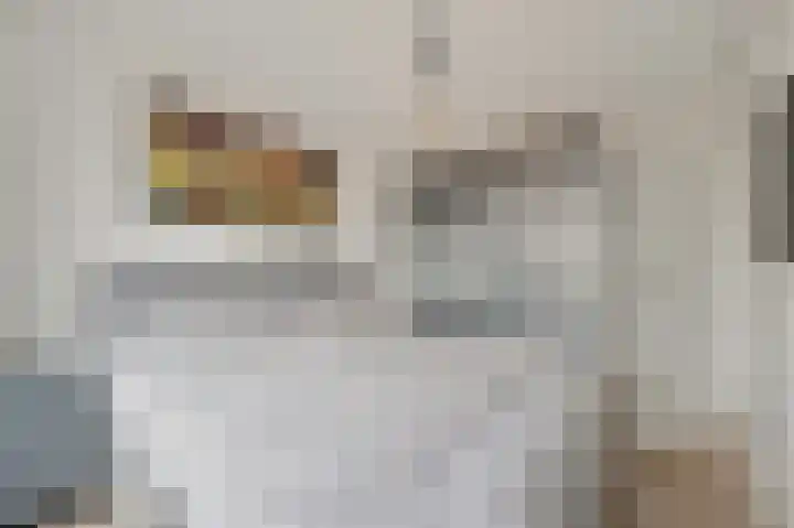 Fluitekruid 42 Den Hoorn thumbnail 24