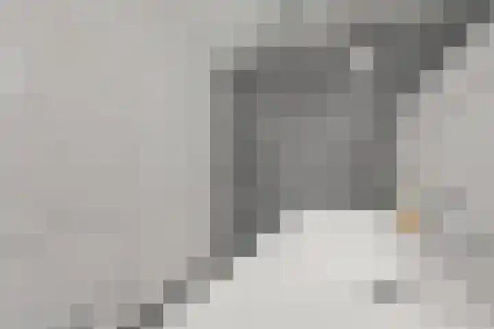 Fluitekruid 42 Den Hoorn thumbnail 25