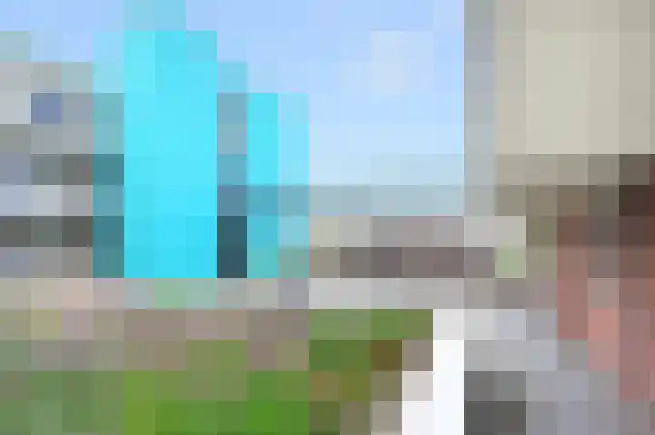 Fluitekruid 42 Den Hoorn thumbnail 30