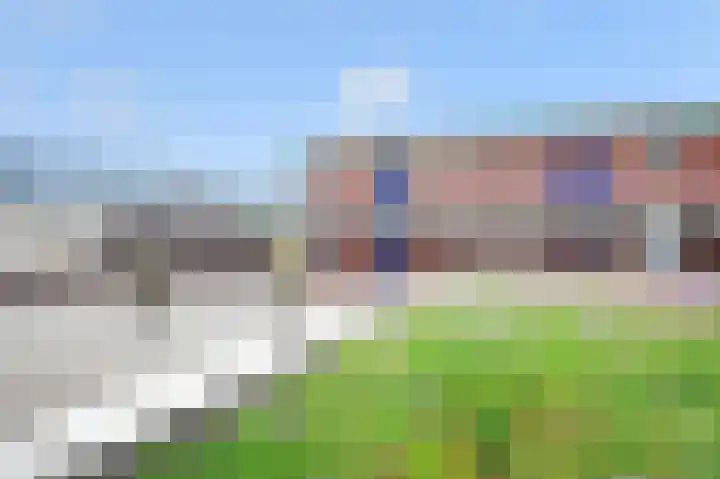 Fluitekruid 42 Den Hoorn thumbnail 31