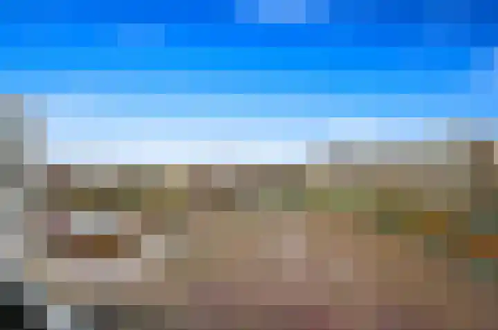 Fluitekruid 42 Den Hoorn thumbnail 32