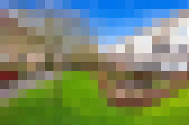 Fluitekruid 42 Den Hoorn thumbnail 34
