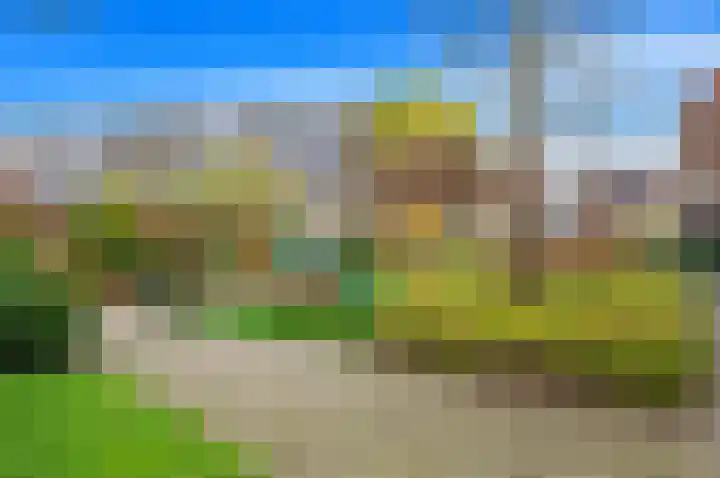 Fluitekruid 42 Den Hoorn thumbnail 35