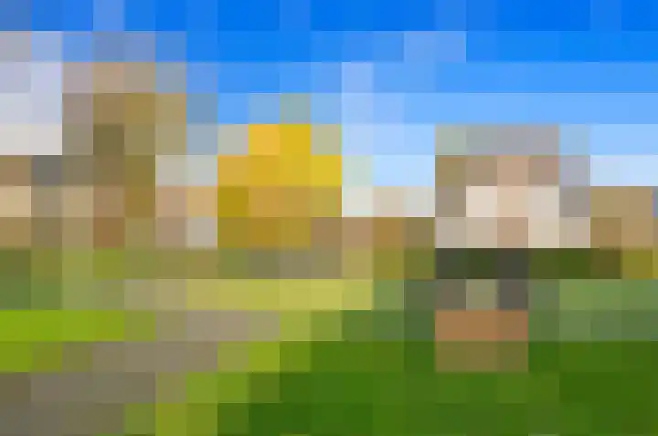 Fluitekruid 42 Den Hoorn thumbnail 36