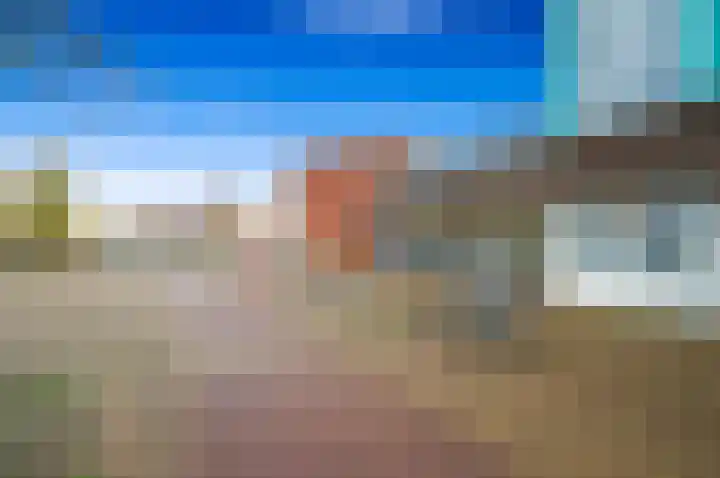 Fluitekruid 42 Den Hoorn thumbnail 4
