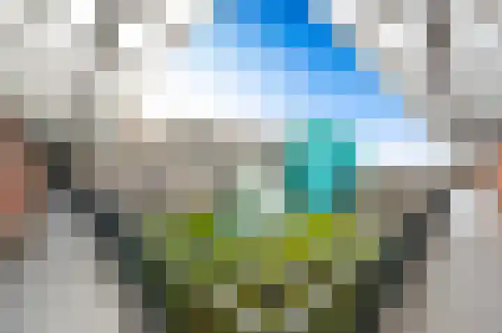 Fluitekruid 42 Den Hoorn thumbnail 5