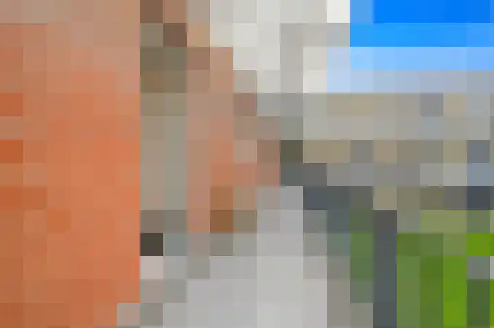 Fluitekruid 42 Den Hoorn thumbnail 6