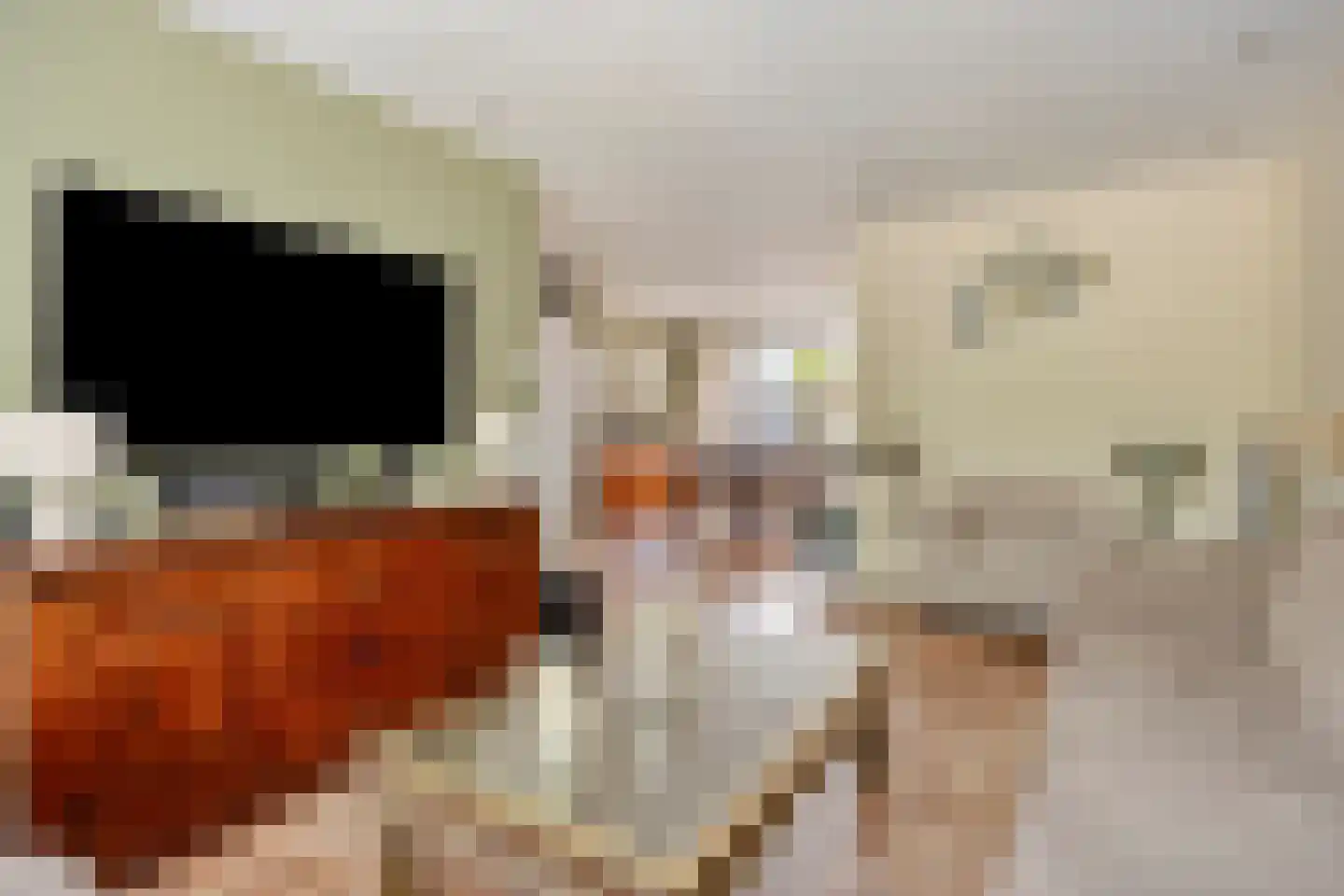Fluitekruid 47 Rotterdam thumbnail 11