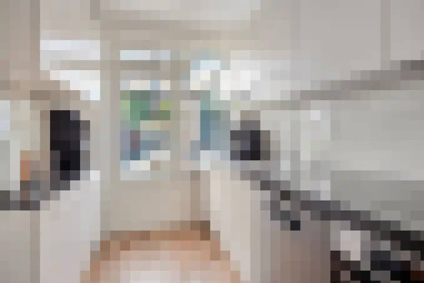 Fluitekruid 47 Rotterdam thumbnail 13