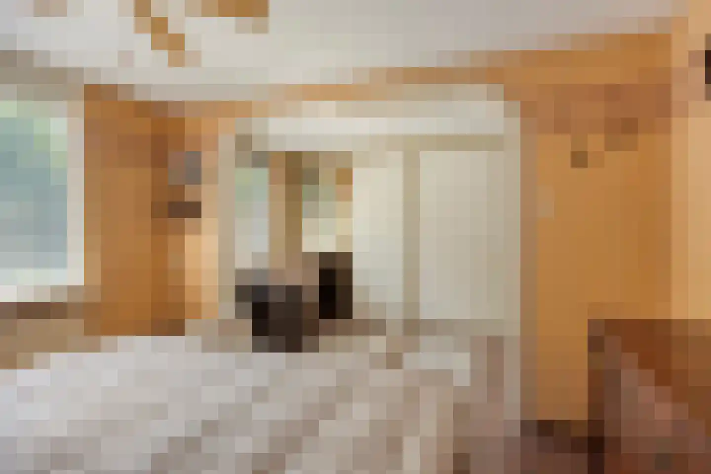Fluitekruid 47 Rotterdam thumbnail 17