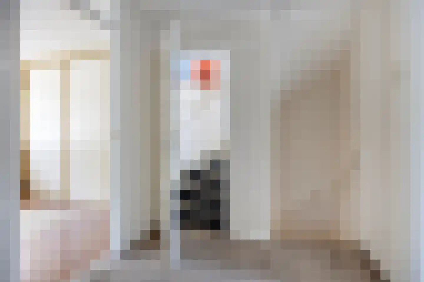 Fluitekruid 47 Rotterdam thumbnail 18