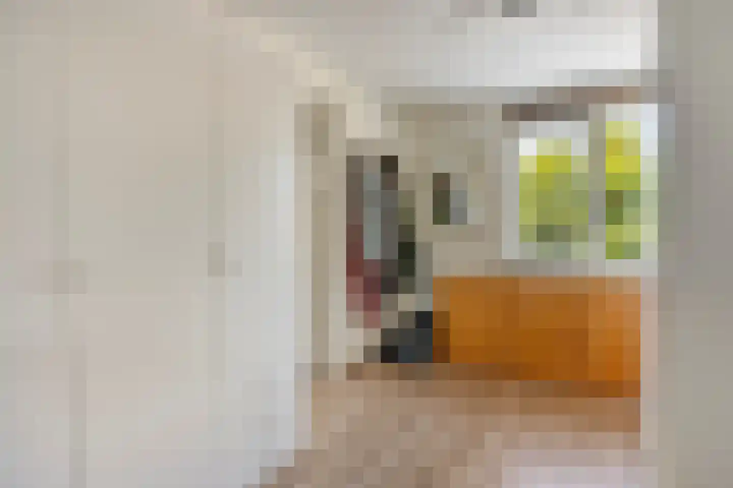 Fluitekruid 47 Rotterdam thumbnail 20