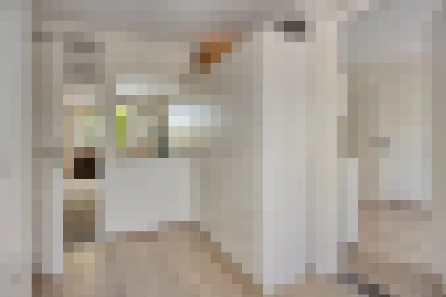 Fluitekruid 47 Rotterdam thumbnail 21