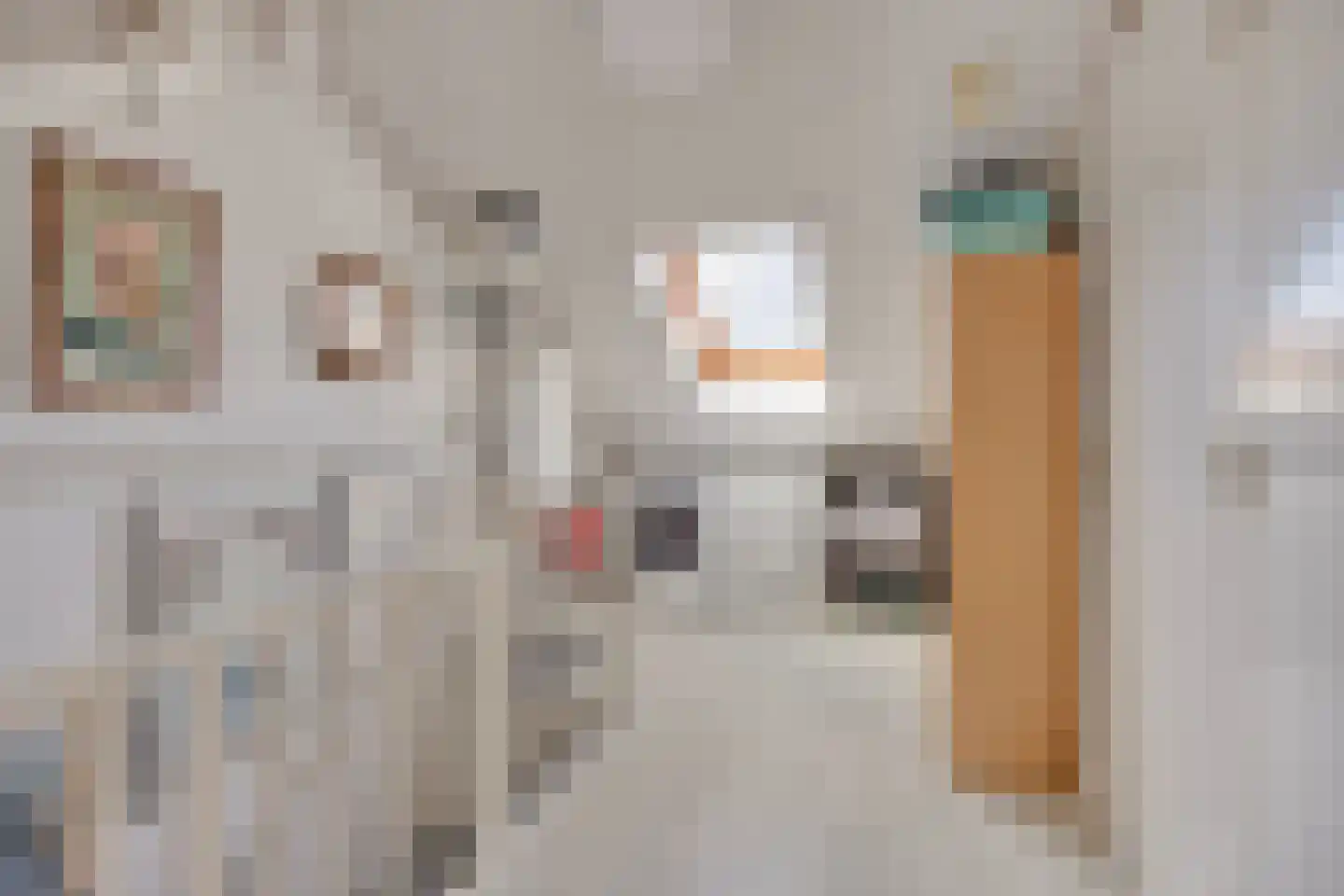 Fluitekruid 47 Rotterdam thumbnail 25