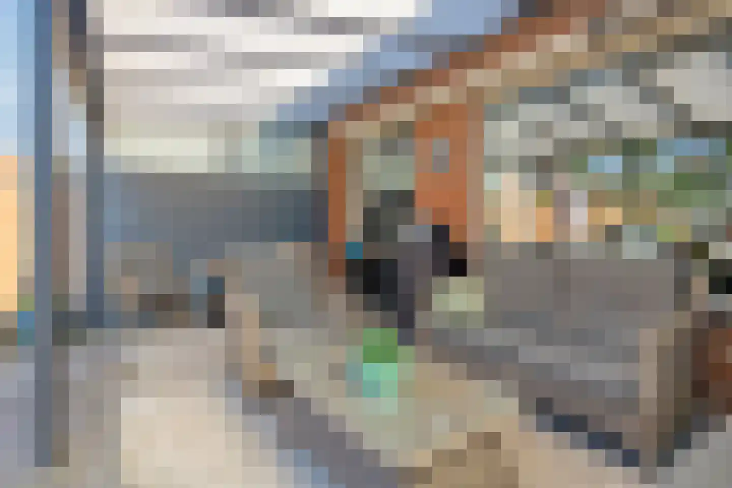 Fluitekruid 47 Rotterdam thumbnail 27