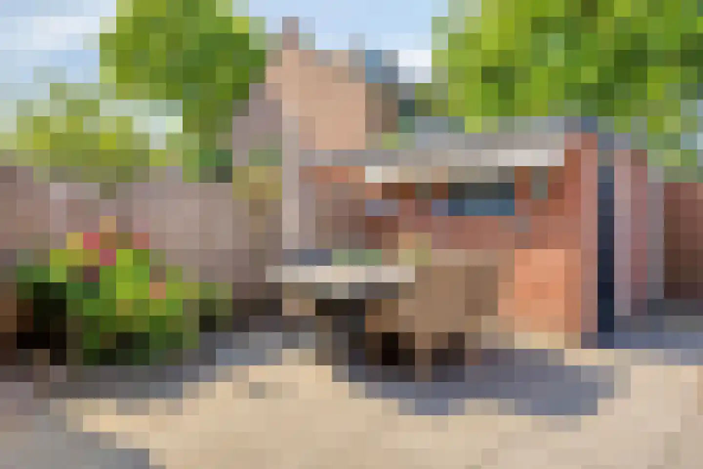 Fluitekruid 47 Rotterdam thumbnail 28