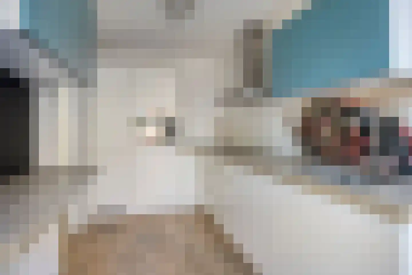 Fluitekruid 47 Rotterdam thumbnail 38