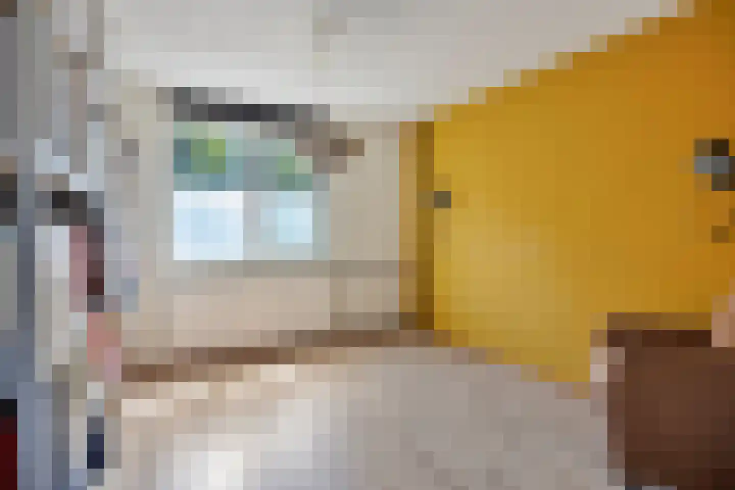 Fluitekruid 47 Rotterdam thumbnail 44