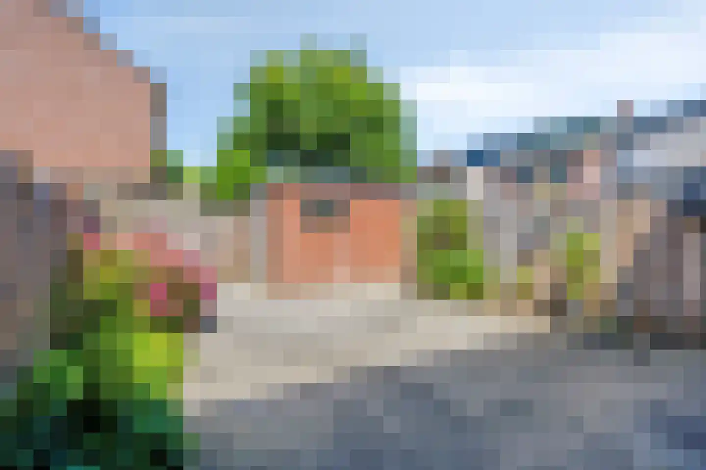 Fluitekruid 47 Rotterdam thumbnail 57