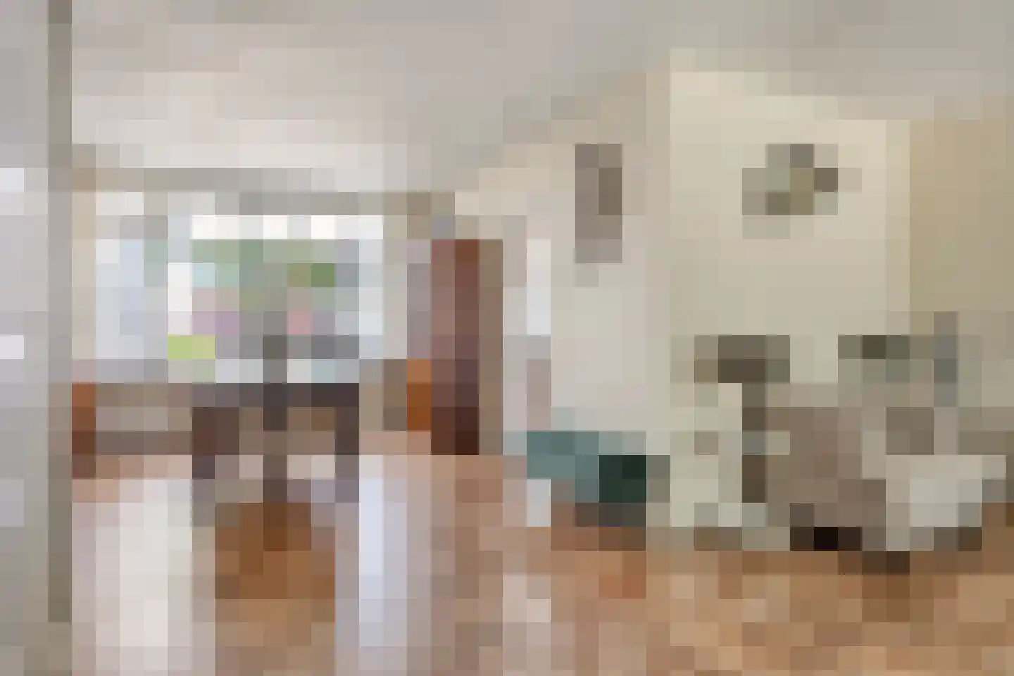 Fluitekruid 47 Rotterdam thumbnail 6