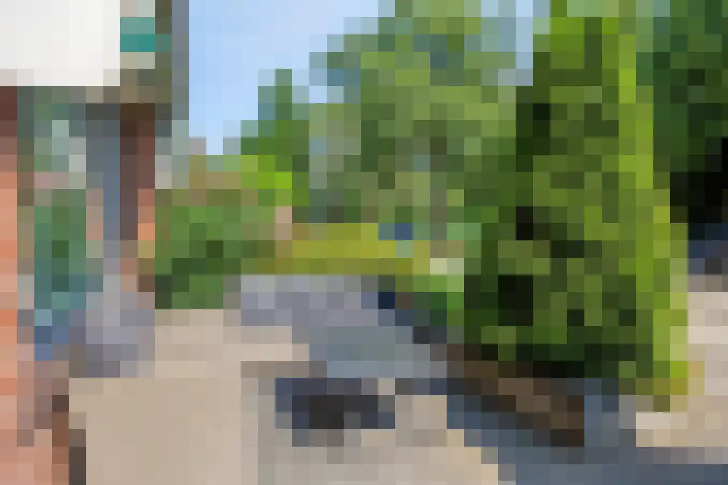 Fluitekruid 47 Rotterdam thumbnail 60