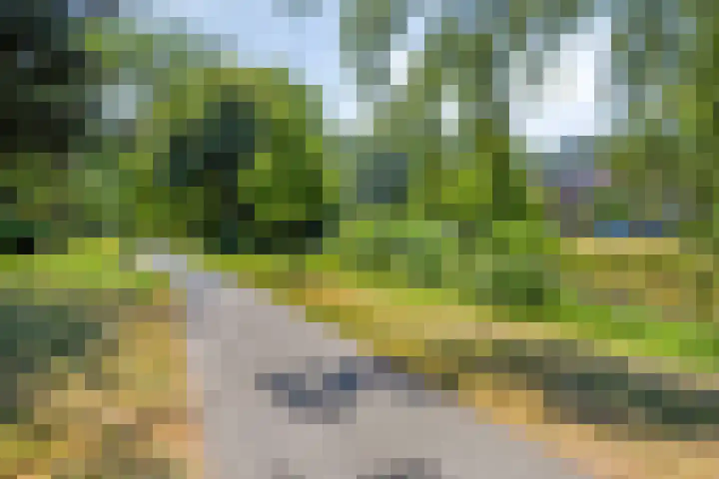 Fluitekruid 47 Rotterdam thumbnail 61