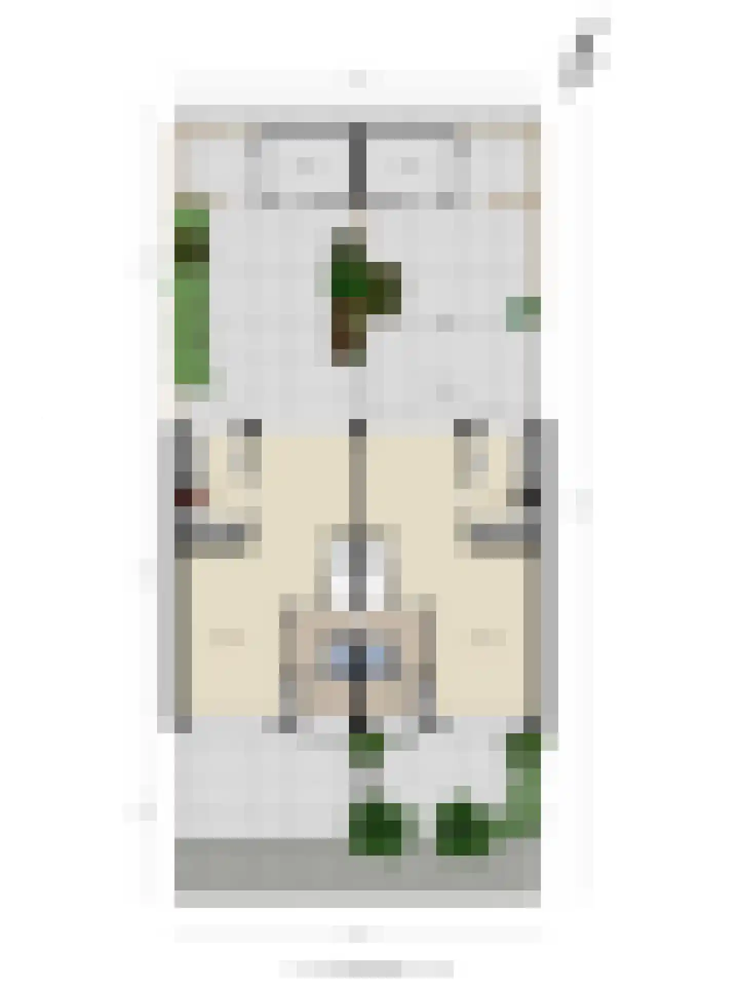 Fluitekruid 47 Rotterdam thumbnail 63