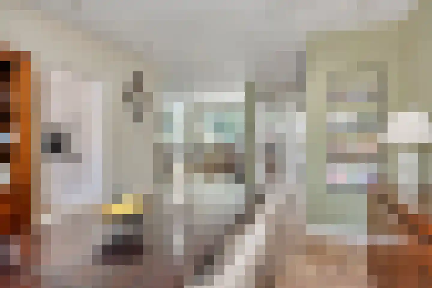 Fluitekruid 47 Rotterdam thumbnail 8