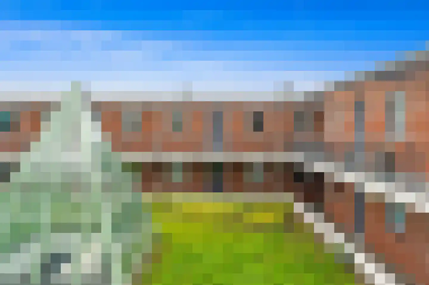 Fluitekruid 48 Den Hoorn thumbnail 10